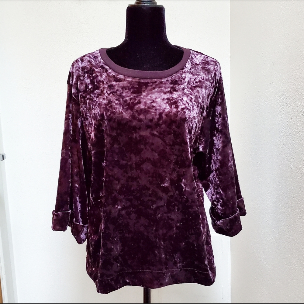 Top Crushed Velvet Style Eggplant Colored Seasonal Winter Shirt Size S